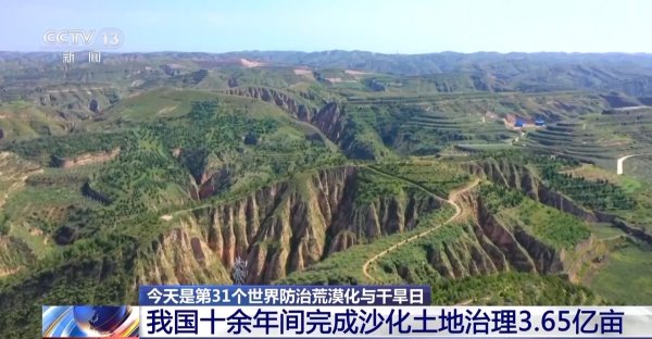 中岩投资 给沙漠戴上“绿围脖”&#32;我国十余年间完成沙化土地治理3.65亿亩