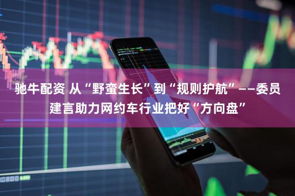 驰牛配资 从“野蛮生长”到“规则护航”——委员建言助力网约车行业把好“方向盘”