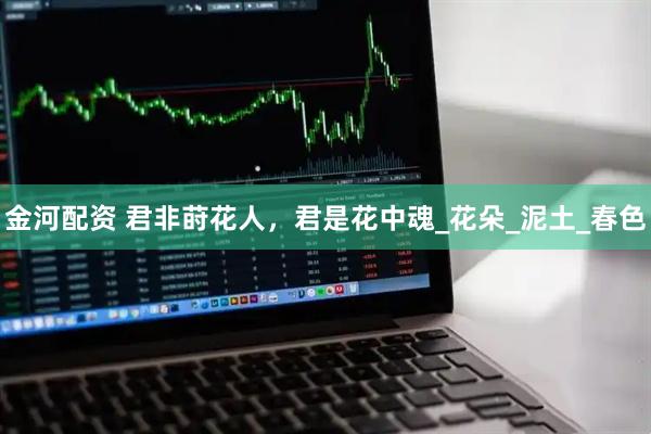 金河配资 君非莳花人，君是花中魂_花朵_泥土_春色