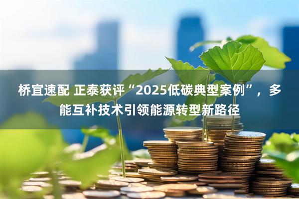 桥宜速配 正泰获评“2025低碳典型案例”，多能互补技术引领能源转型新路径