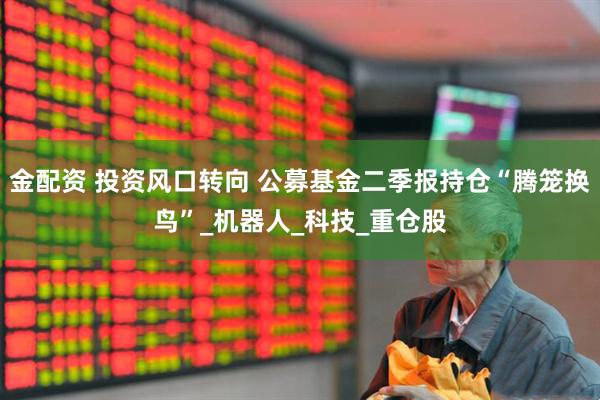 金配资 投资风口转向 公募基金二季报持仓“腾笼换鸟”_机器人_科技_重仓股
