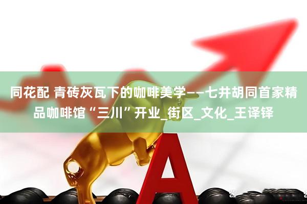 同花配 青砖灰瓦下的咖啡美学——七井胡同首家精品咖啡馆“三川”开业_街区_文化_王译铎