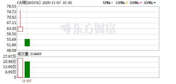股腰包 主板上市！汽车电子“隐形冠军”大明电子IPO实质性落地