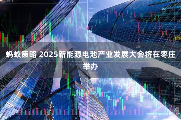 蚂蚁策略 2025新能源电池产业发展大会将在枣庄举办