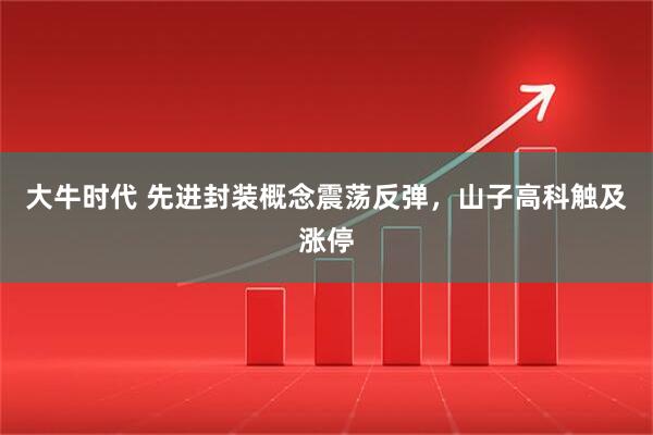 大牛时代 先进封装概念震荡反弹，山子高科触及涨停